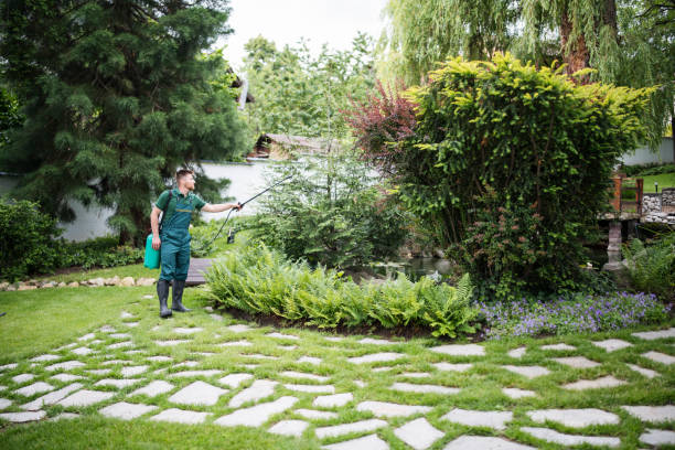 Travelers Rest, SC Tree Services Company